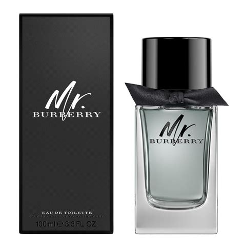 mr burberry sale|burberry mr burberry edt 100ml.